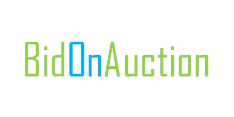 BidOnAuction.com