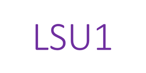 LSU1.com