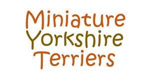 MiniatureYorkshireTerriers.com