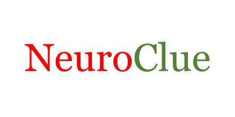 NeuroClue.com