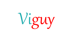 Viguy.com